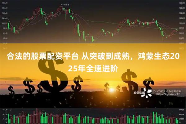 合法的股票配资平台 从突破到成熟，鸿蒙生态2025年全速进阶