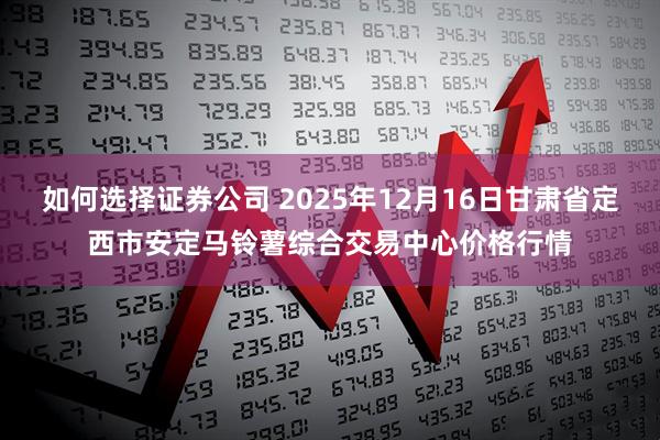 如何选择证券公司 2025年12月16日甘肃省定西市安定马铃薯综合交易中心价格行情