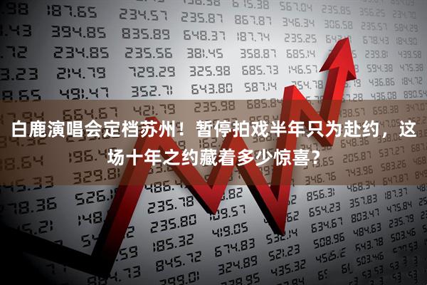 白鹿演唱会定档苏州！暂停拍戏半年只为赴约，这场十年之约藏着多少惊喜？