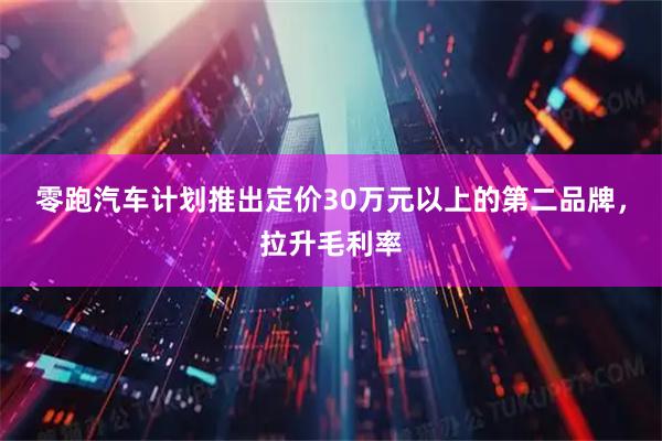 零跑汽车计划推出定价30万元以上的第二品牌，拉升毛利率