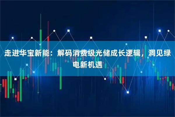 走进华宝新能：解码消费级光储成长逻辑，洞见绿电新机遇