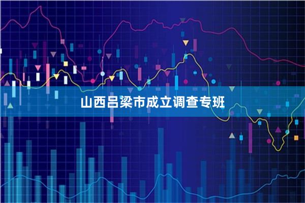 山西吕梁市成立调查专班
